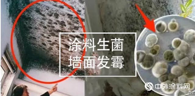 耐高溫粉末塗料抗菌劑