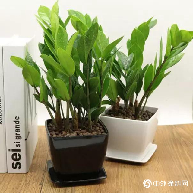 鱷魚漆裝修TIPS | 三伏天，聊裝修"
134304"