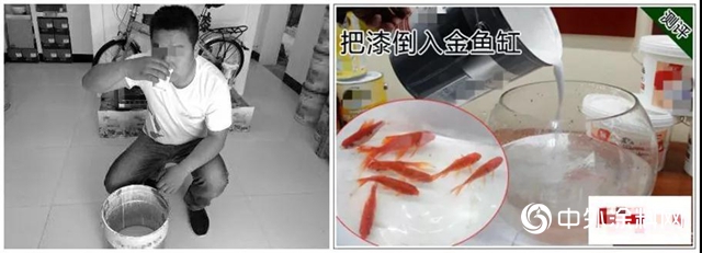 芬琳漆：選漆過程中，你被這麽忽悠過嗎？"
134580"