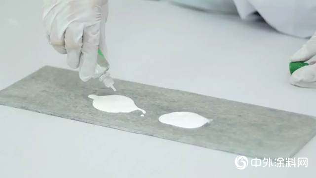 一份來自嘉寶莉海藻泥3代的硬核測評
