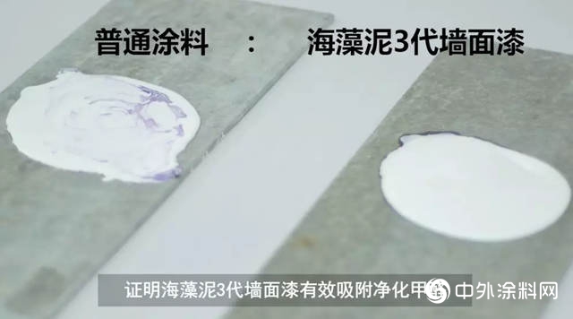 一份來自嘉寶莉海藻泥3代的硬核測評
