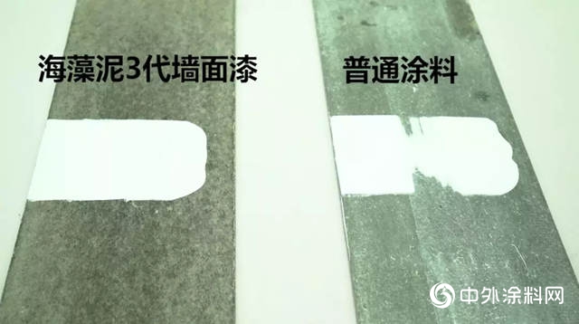 一份來自嘉寶莉海藻泥3代的硬核測評