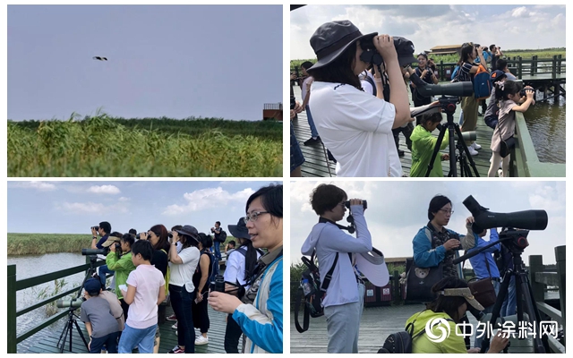 “一同去看鳥” 2019年艾仕得濕地保護項目誌願者走訪行動紀實"
135085"