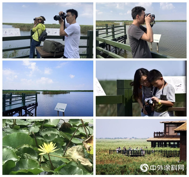 “一同去看鳥” 2019年艾仕得濕地保護項目誌願者走訪行動紀實"
135085"