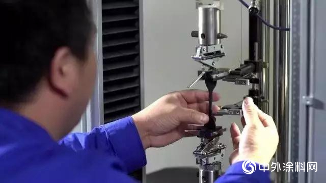 “虹”衣怒馬，百戰歸來仍少年