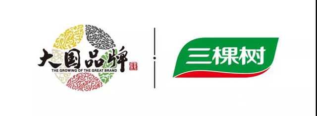 北京大興(xing) 國際機場正式投運，三棵樹助力世界最大航空港啟航