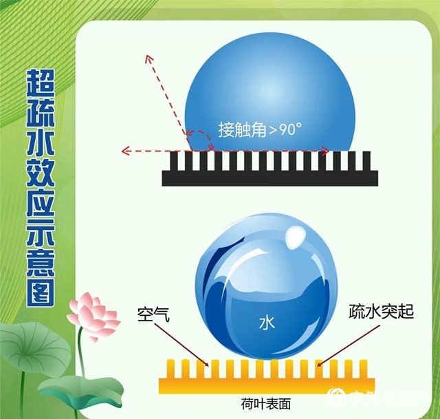 大寶淨味荷效牆麵漆：超強荷葉效果，解決清潔難題