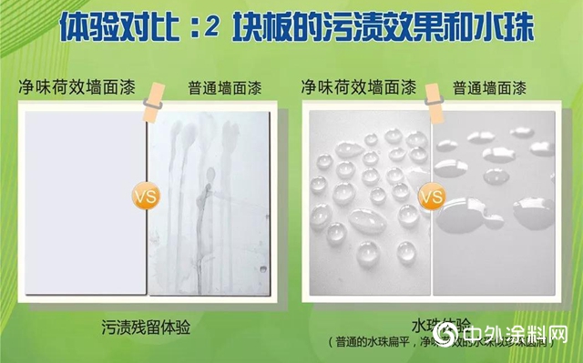 大寶淨味荷效牆麵漆：超強荷葉效果，解決清潔難題
