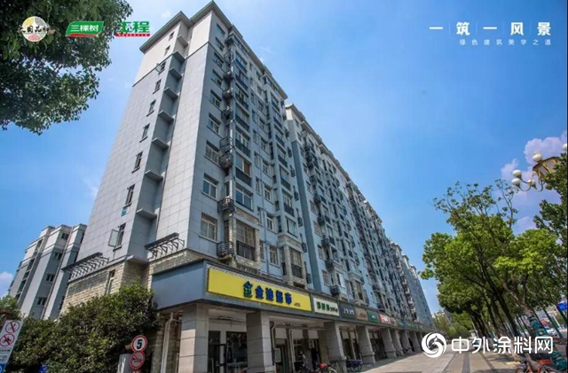 三棵樹工程為第七屆世界軍運會添彩，美麗江城——武漢煥然一新"
135614"