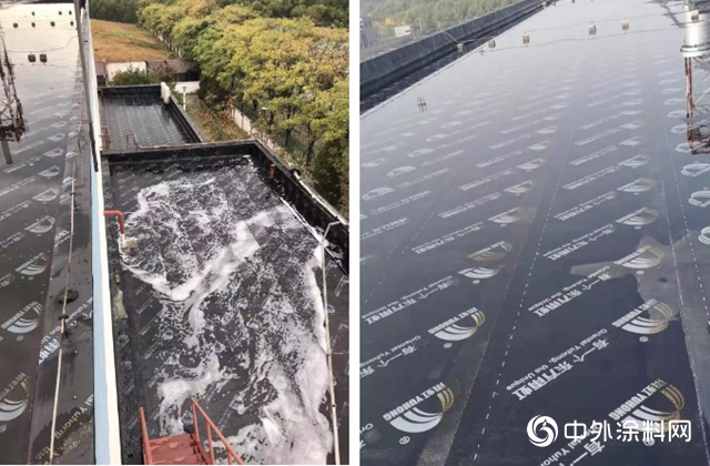 東(dong) 方雨虹：告別滲漏，煥發新生——首都機場動力能源焚燒站屋麵防水維修項目