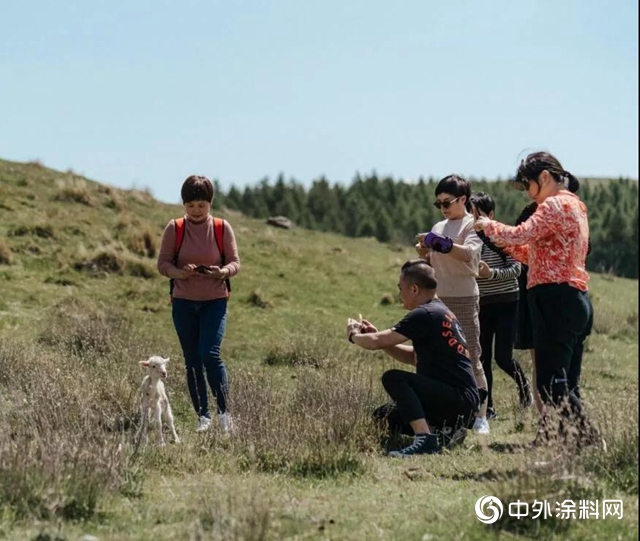 向世界出發 嘉寶莉經銷商開啟新西蘭(lan) 之旅