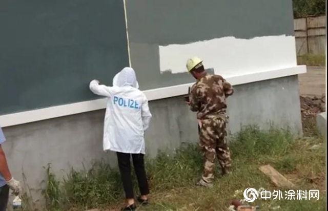 崔顏，讓日照晨陽水漆率先實現“塗料界華為”的中流砥柱