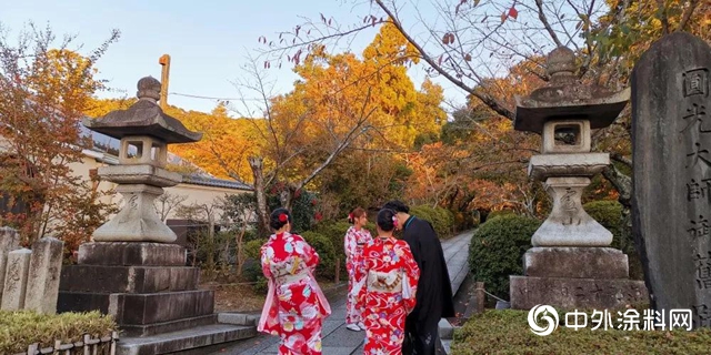 乘“楓”而行 首批經銷商日本考察之旅圓滿落幕