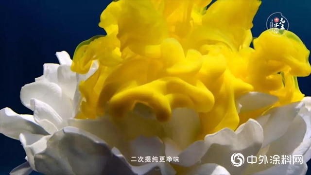 花王水漆全新水下視效大片震撼首發，驚豔超乎你想象！