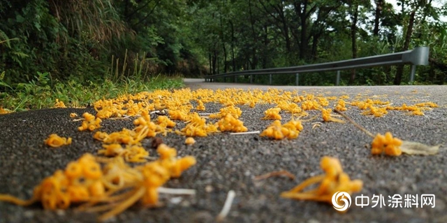 嘉寶莉：【匠心】日照城投•尚城桂花園：在城市中隱居，感受生活的奢華與(yu) 靜謐
