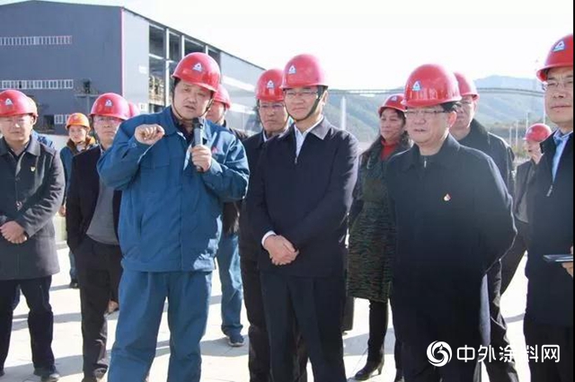 雲南省副省長董華一行蒞臨新立鈦業考察調研
