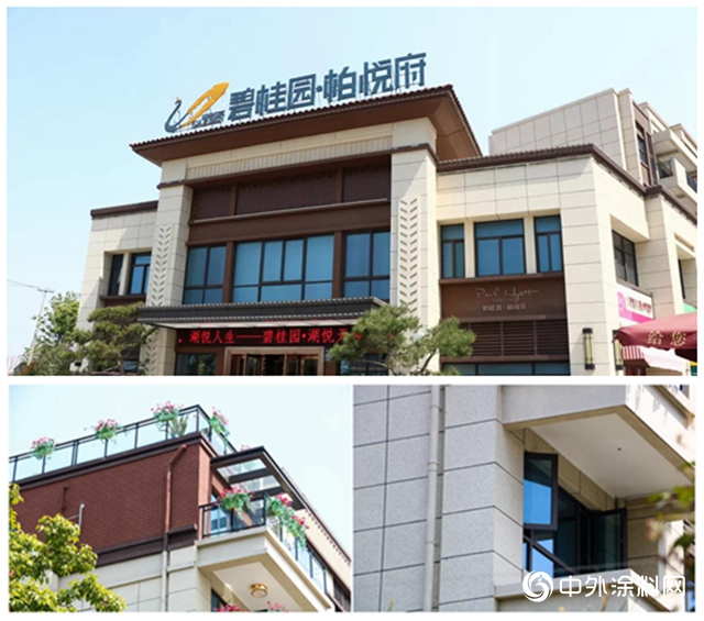 【TOP地產戰略合作年終盤點】碧桂園｜標準化建設帶來省心高效