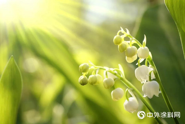 2019虹聲集錦｜以君子自勉，行君子之為