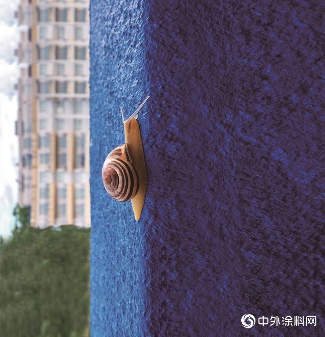 對雨痕說“不”——巴斯夫創新型聚合物乳液助力外牆塗層持久靚麗