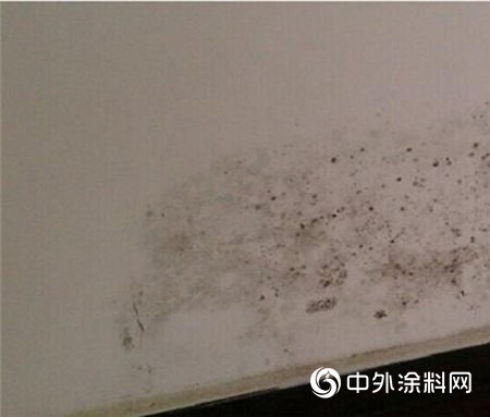 回南天，救救我的牆麵"137402"
