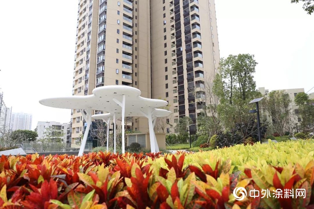 嘉寶莉大建塗年度“最匠心”項目等你心動，快來打call