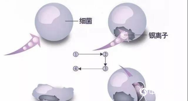 塗料抗菌？刷新三觀的“黑科技” 不妨看一看"137468"