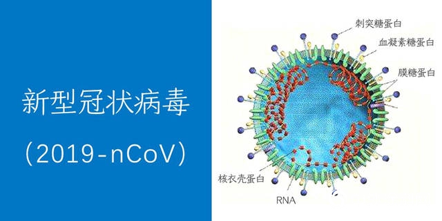大隱於(yu) 水| 新冠病毒蘊含的三條商業(ye) 啟發"137472"