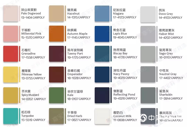 淨味調色基礎漆新品上市|高性價比！顏色穩定！一鍵提升調色效率！