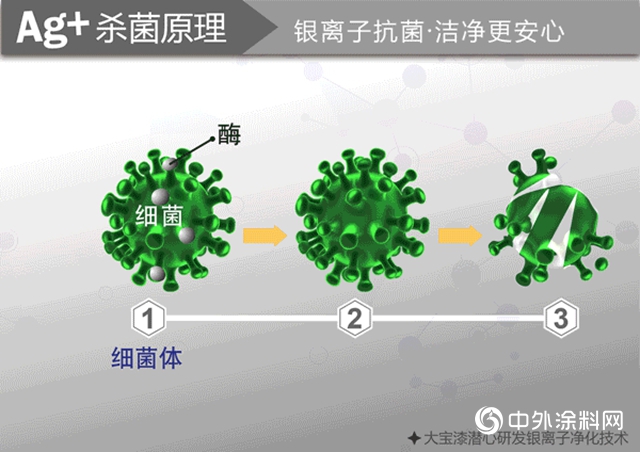 大寶漆抗菌產(chan) 品係列，為(wei) 您的健康”守護”"137849"