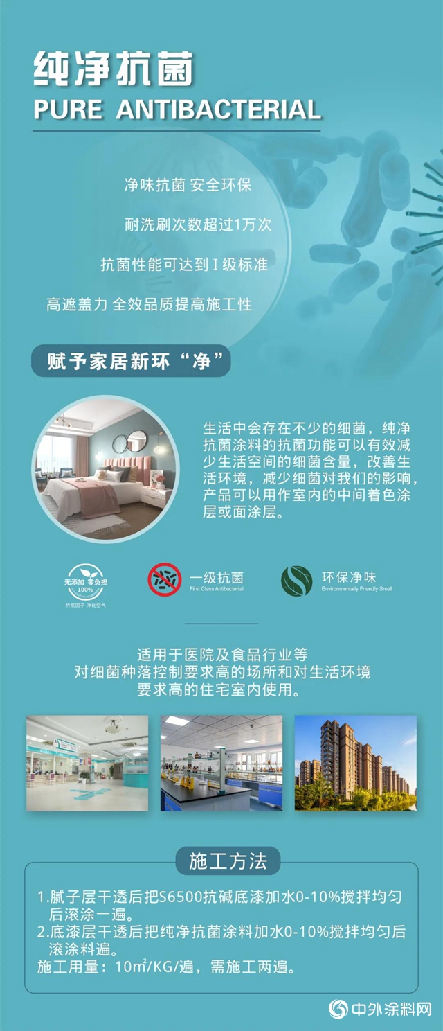 江門日洋新品上新啦丨S3000 純淨抗菌塗料