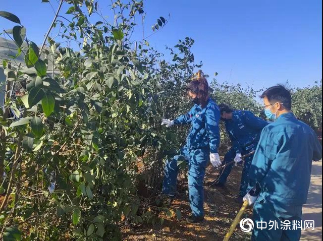 綠化養護忙 不負好春光——龍佰集團積極開展綠化美化工作"
138088"
