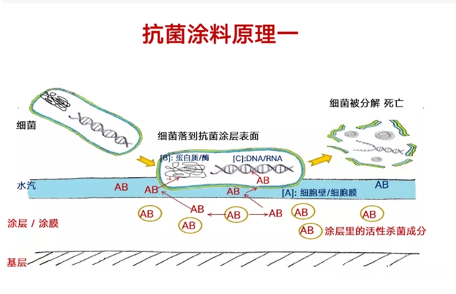 刷在內(nei) 牆上的“健康科技” 立邦工程高級產(chan) 品經理李蜀在線解析
