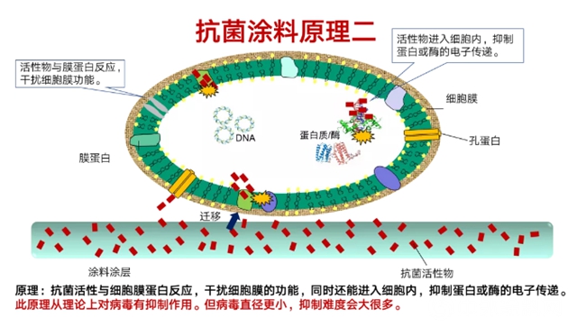 刷在內(nei) 牆上的“健康科技” 立邦工程高級產(chan) 品經理李蜀在線解析