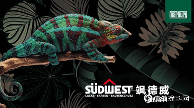 德國颯德威漆強勢登陸中國市場，獨特的牆麵美學將掀行業颶風