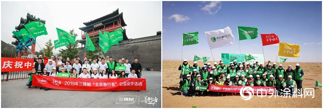 2019年度報告丨三棵樹穩健經營，樹行業標杆