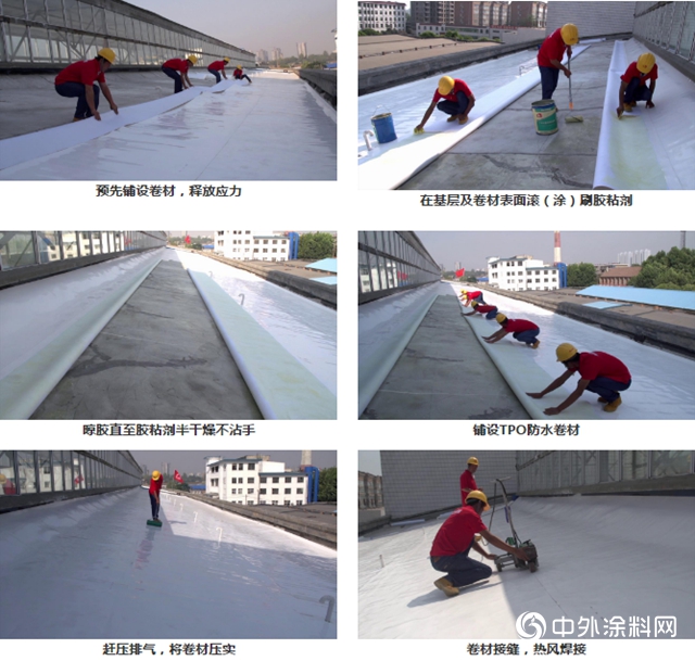 東方雨虹TPO在紅旗長春基地項目的應用
