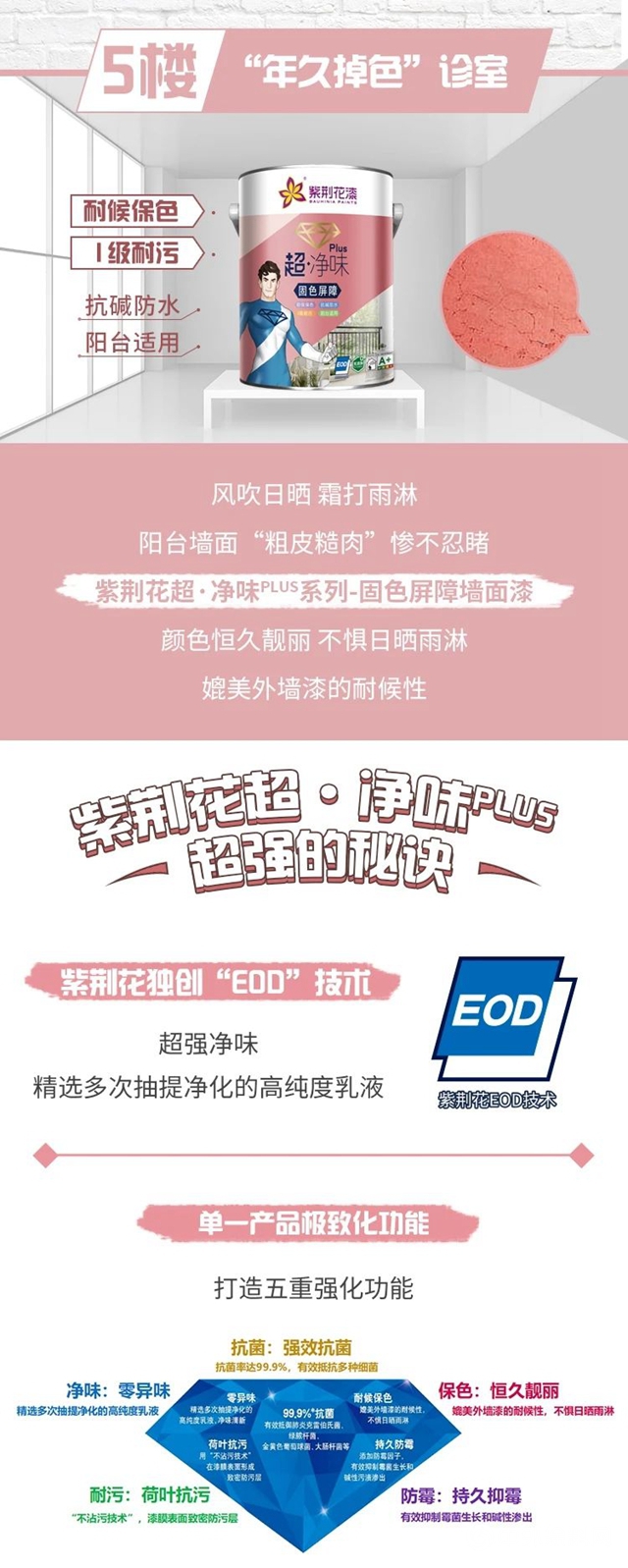 紫荊花牆麵問題診療所，對症下藥KO各種挑戰！"138483"