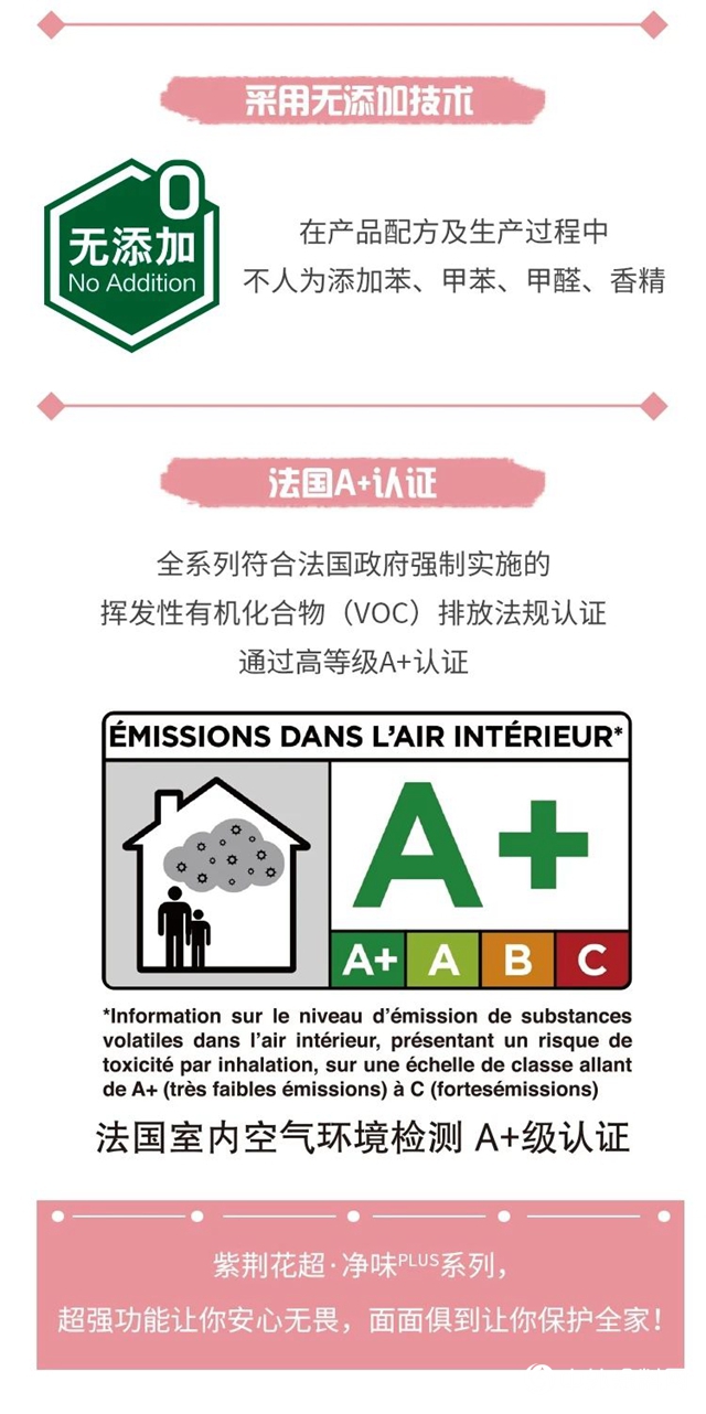 紫荊花牆麵問題診療所，對症下藥KO各種挑戰！"138483"