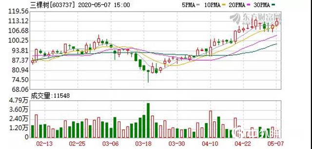 市值突破210億(yi) ！三棵樹股價(jia) 創曆史新高