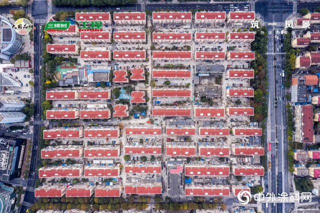 城市煥新｜三棵樹工程全產品配套推動全國文明小區——上海陸家嘴街道舊改進程