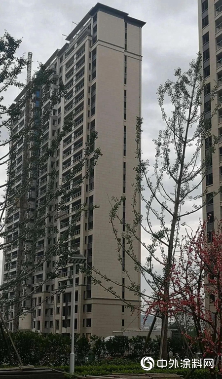 誌強漆董事長親臨項目施工現場考察指導