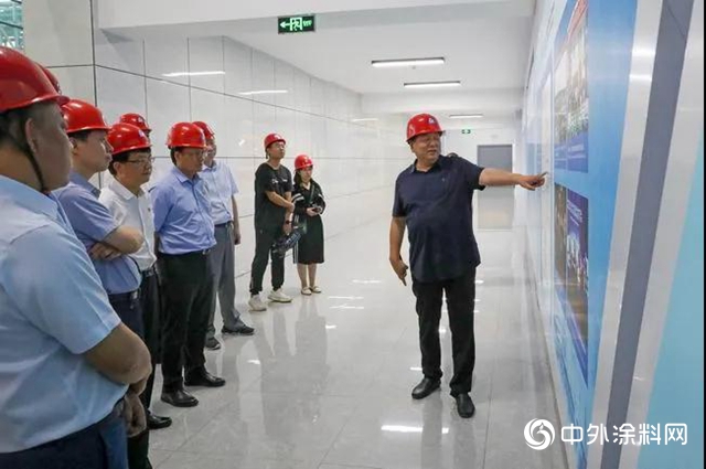 雲南省楚雄州委書記楊斌一行蒞臨龍佰集團總部調研