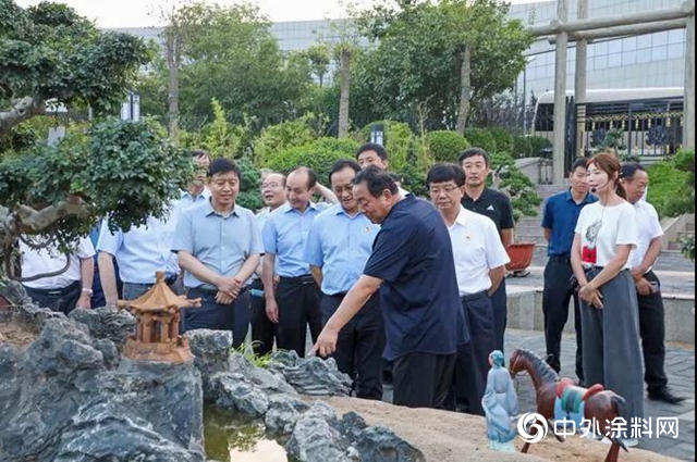 雲南省楚雄州委書記楊斌一行蒞臨龍佰集團總部調研