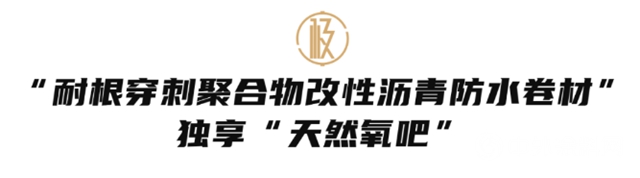 從“極”字看極致的本義，雨虹（YUHONG）極係列卷材重磅來襲