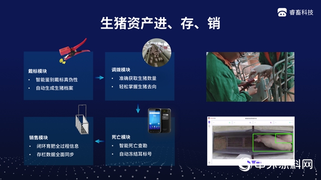 巴斯夫投資智能養殖科技公司睿畜科技