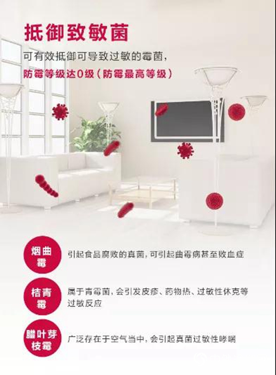 紫荊花塗料：以高性能表現，給敏感性人群“舒暢”的家"140029"