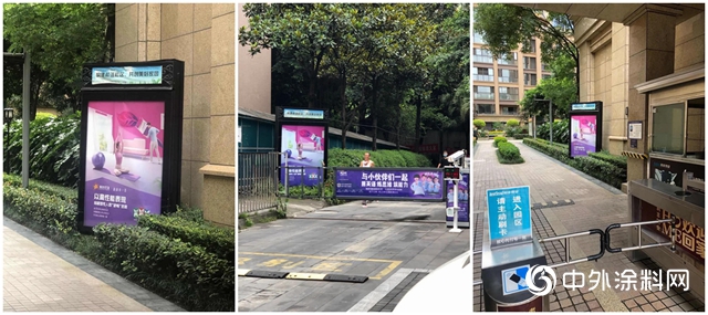 紫荊花塗料：以高性能表現，給敏感性人群“舒暢”的家"
140029"