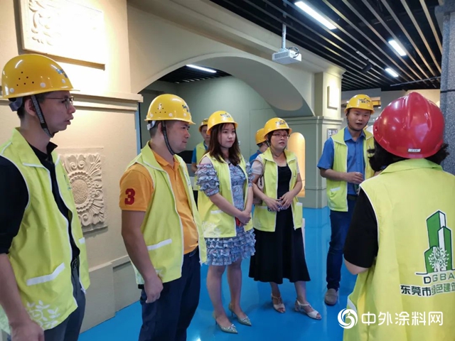 環保施彩，健康同行，東(dong) 莞綠協做客施彩"140047"