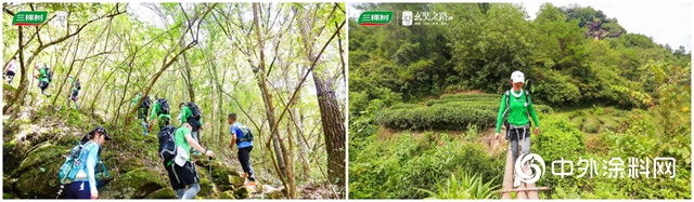三棵樹戈三領導力實踐營武夷山拉練活動圓滿結束"
140367"