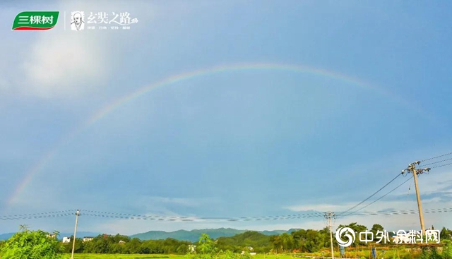 三棵樹戈三領導力實踐營武夷山拉練活動圓滿結束"
140367"